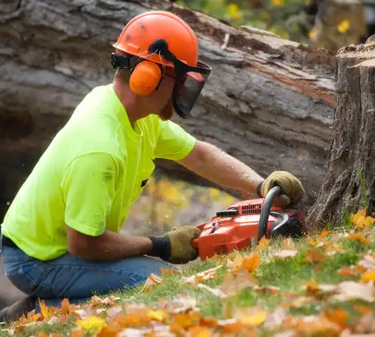 tree services Alexandria